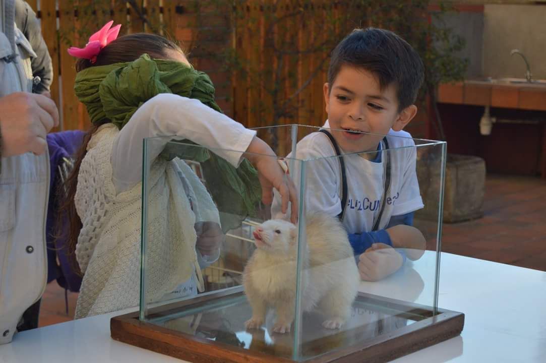 Show de animales exóticos para cumpleaños infantiles Tacabra